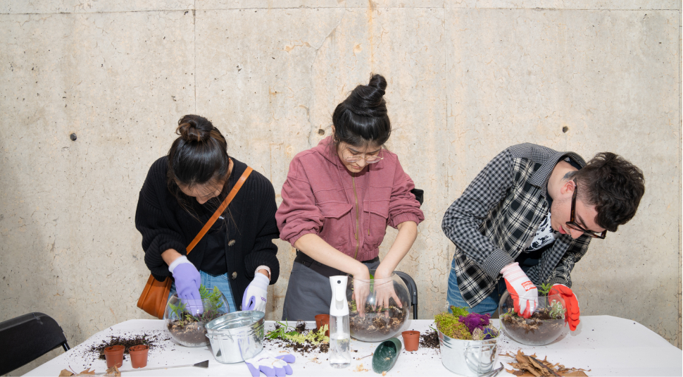 Three people at a table creating terrariums.