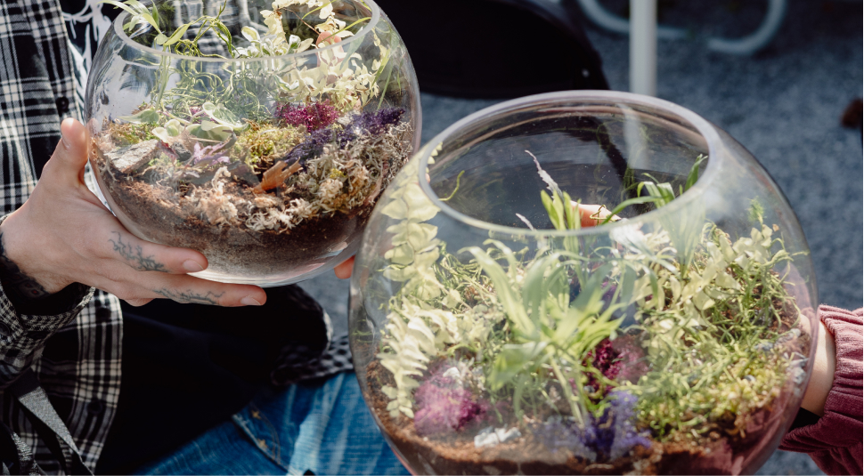 Hands holding large fish bowl terrariums made by community members.