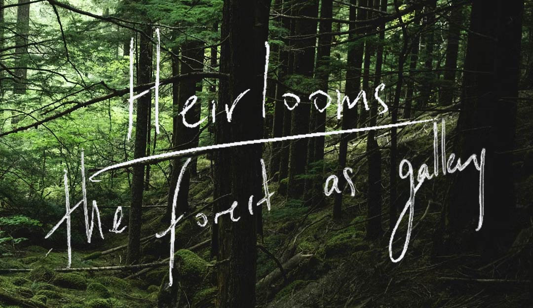 Heirlooms: The Forest as Gallery